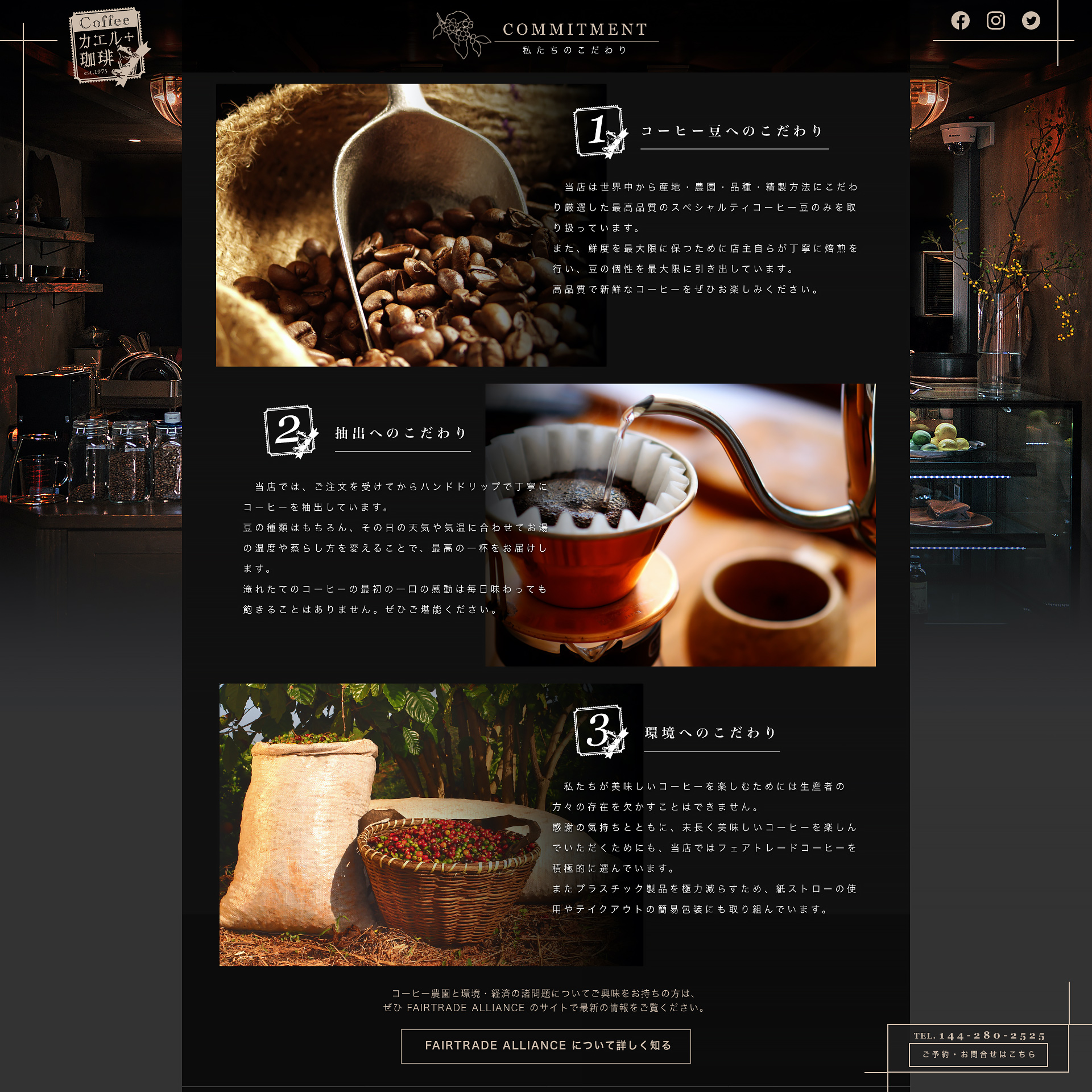 LP制作例：カエル珈琲2